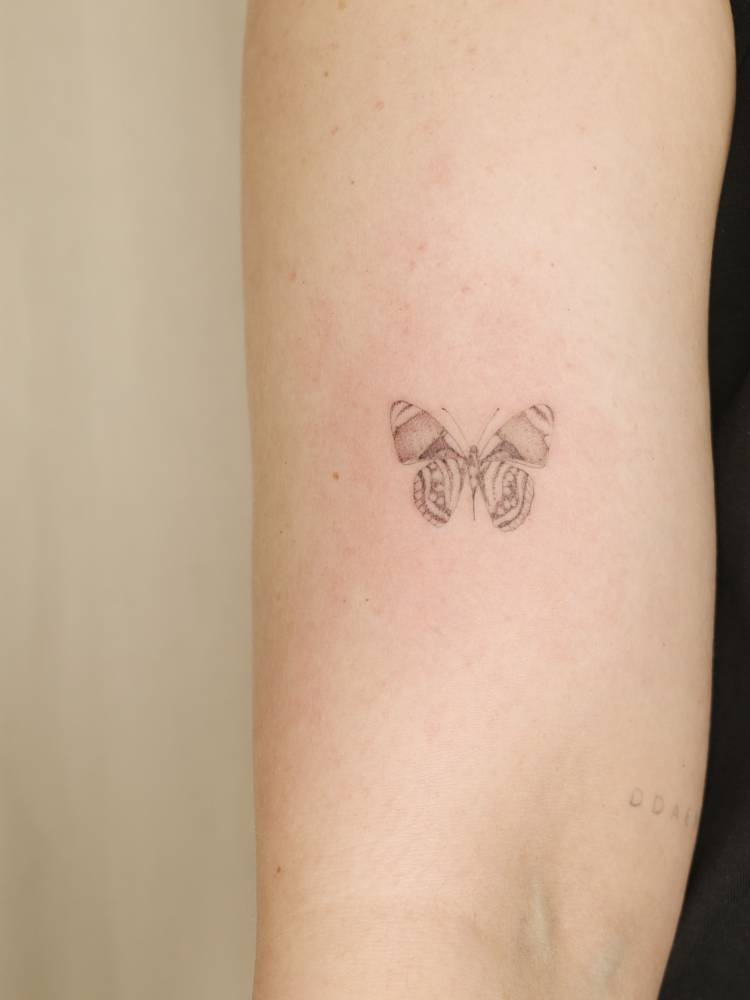 Butterfly tattoo in illustrative style located on the upper arm.