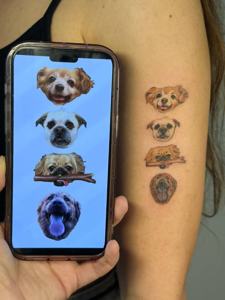 Illustrative style dogs portrait tattooed on the upper arm.