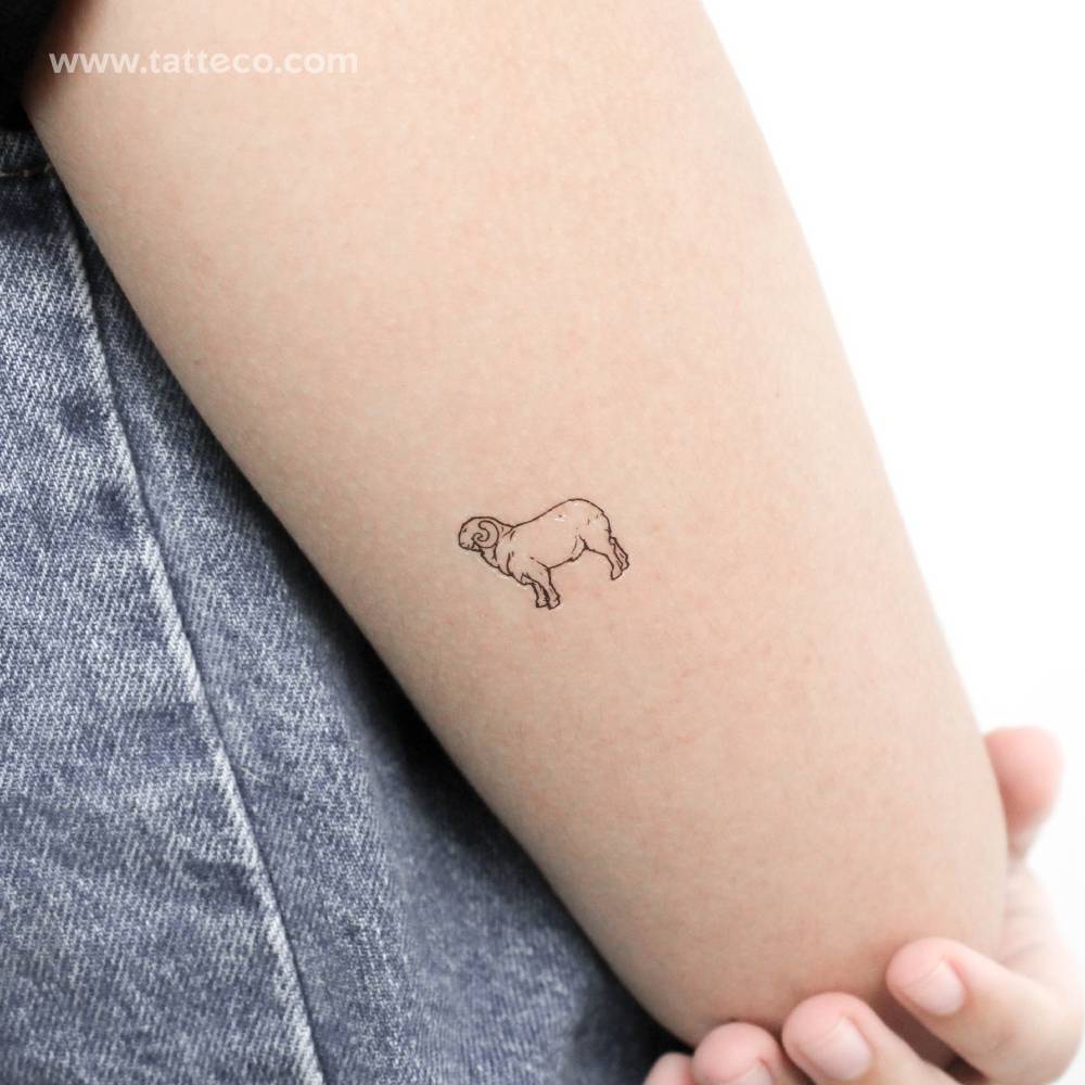 Fine line style ram temporary tattoo located on the tricep.