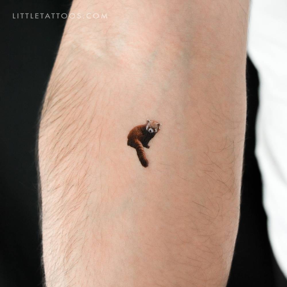 Micro-realistic style red panda temporary tattoo.