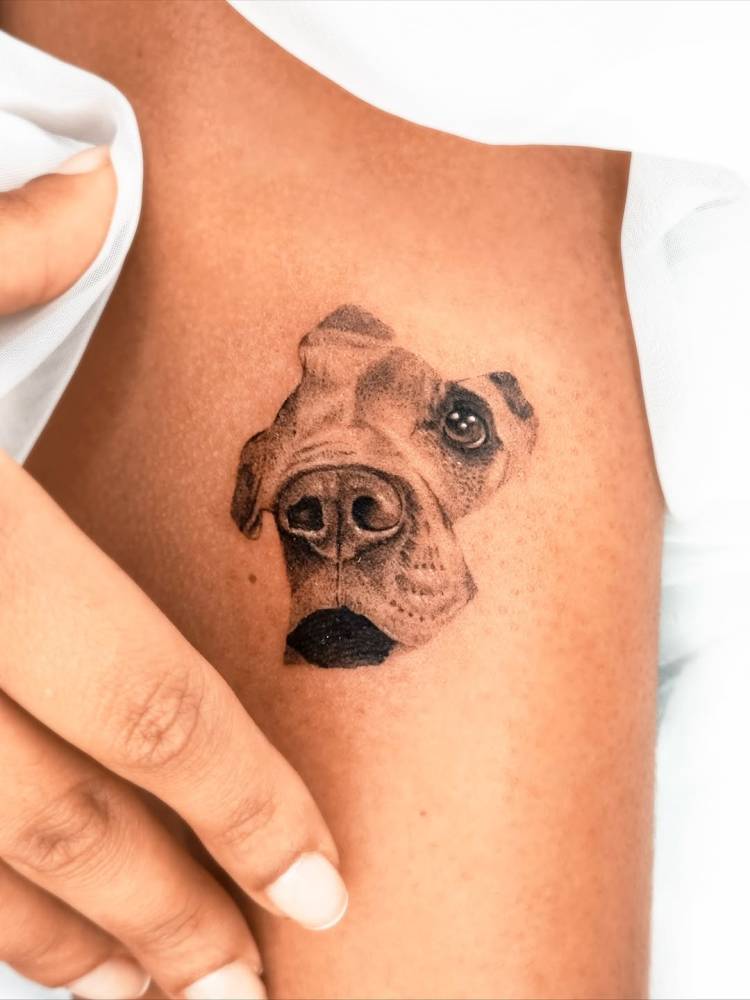 Boxer portrait tattoo in micro-realistic style located on the upper arm.