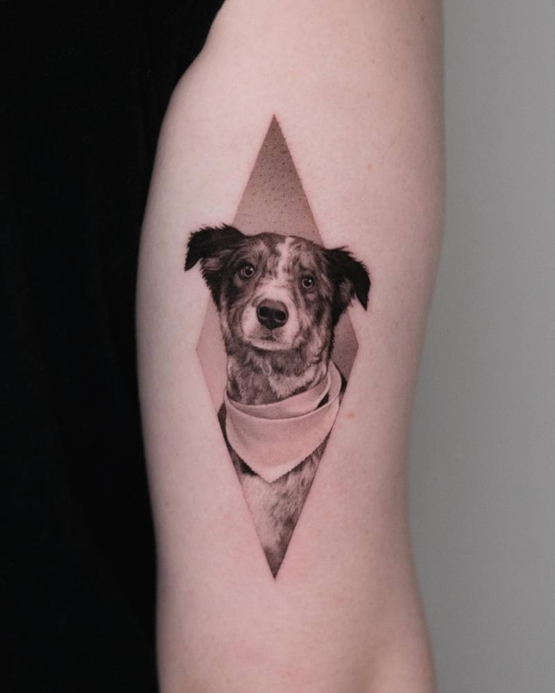 Dog portrait tattoo in micro-realistic style done on the tricep.