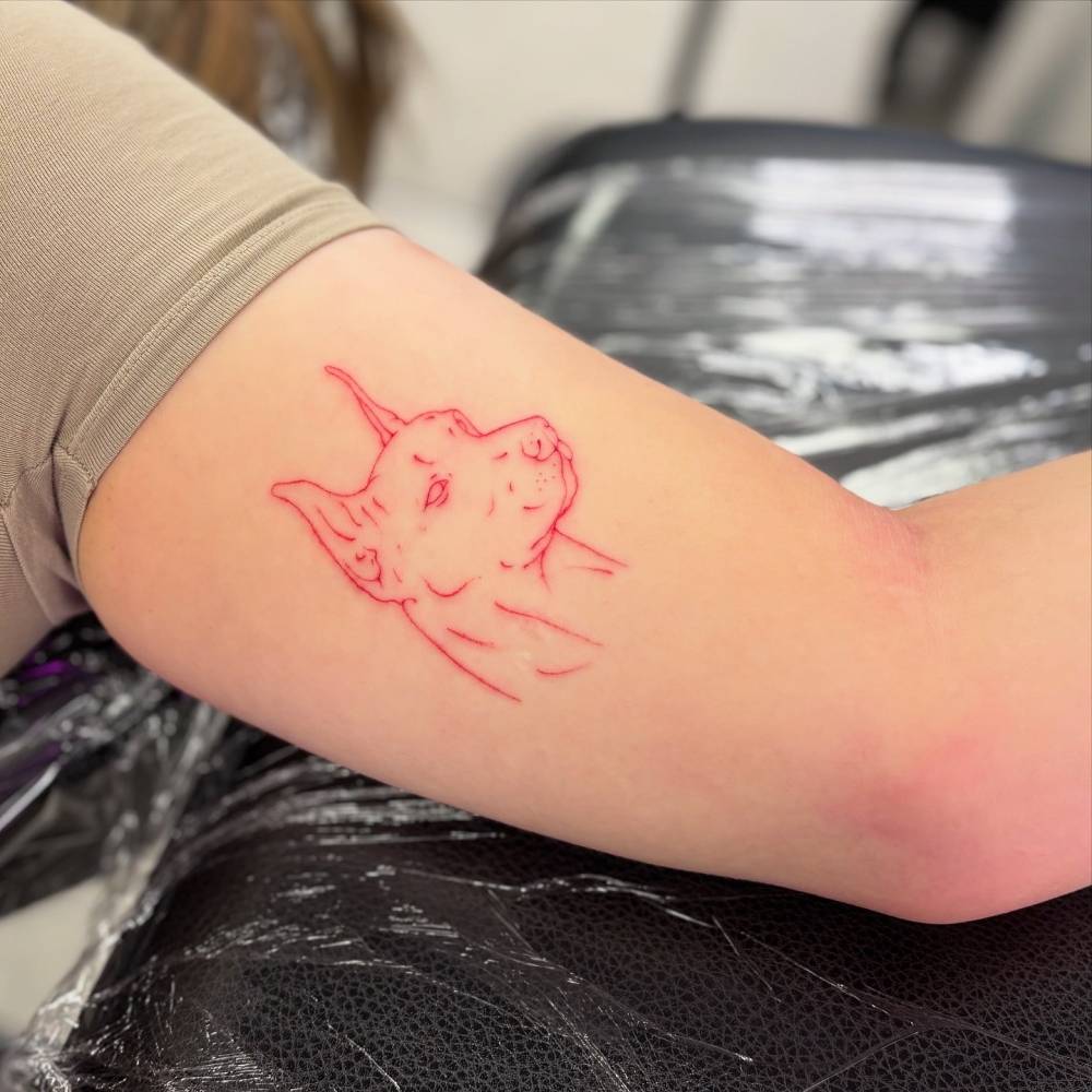 Doberman portrait tattoo in red ink located on the inner arm.