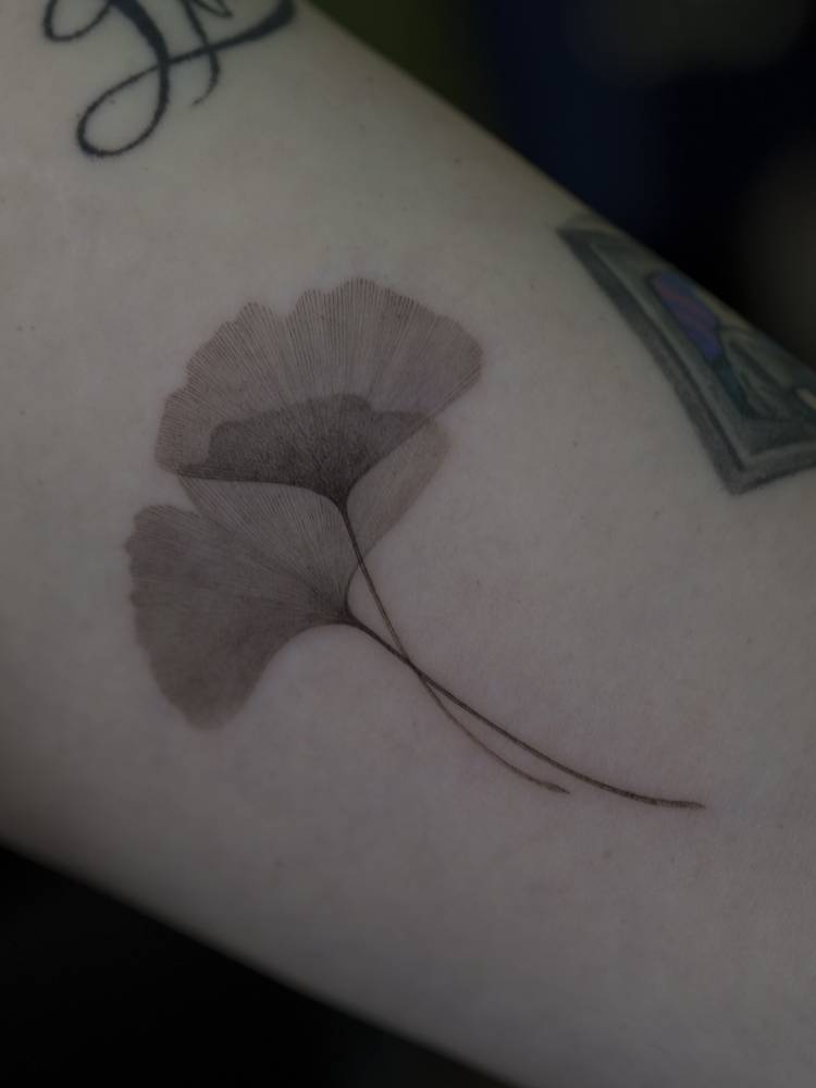 X-Ray ginkgo leaves tattoo located on the inner arm.