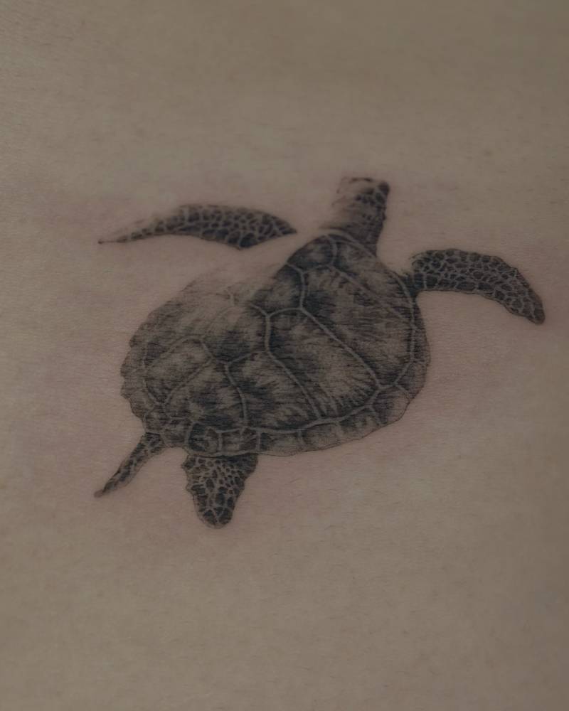 Turtle tattoo in micro-realistic style located on the rib.