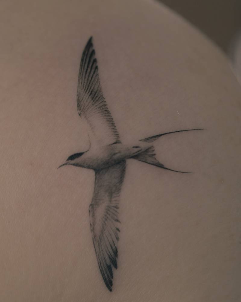 Swallow tattoo in micro-realism located on the shoulder blade.