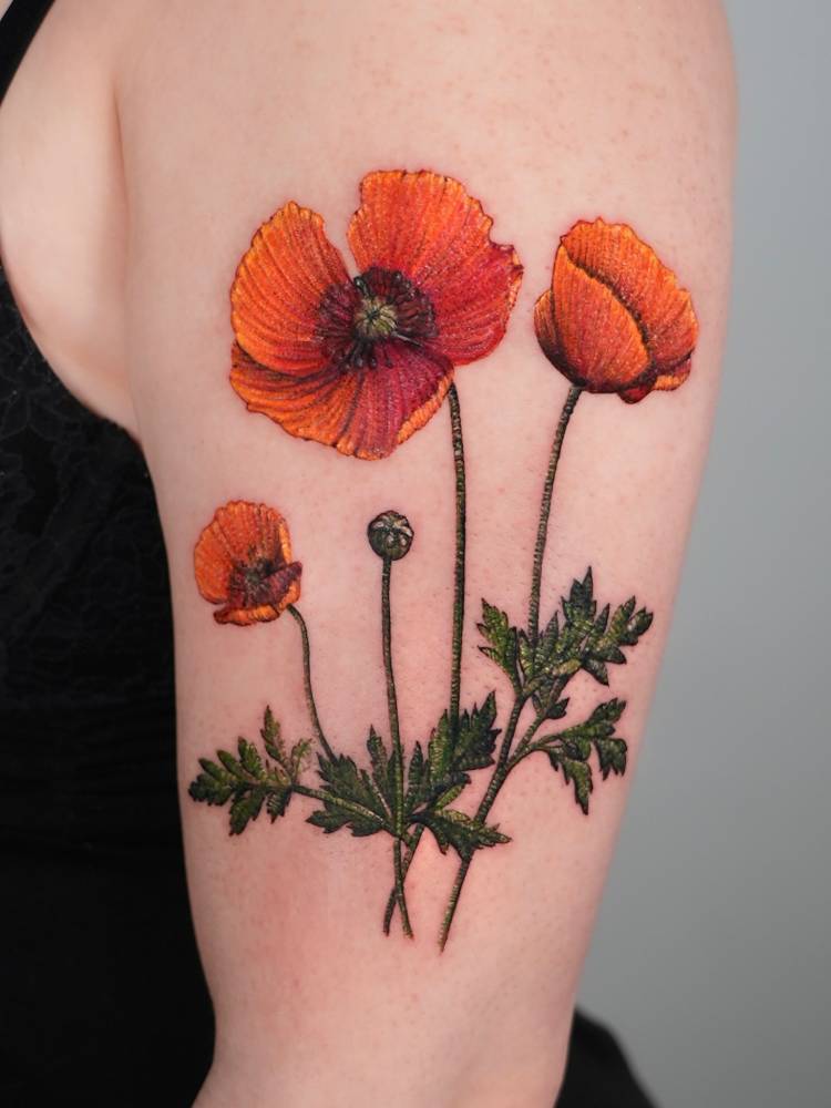 California poppies tattoo in embroidery style located on the upper arm.