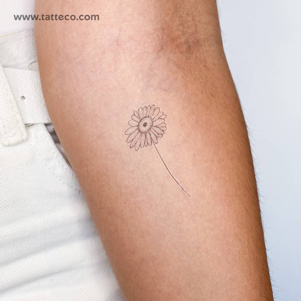 Fine line style daisy temporary tattoo located on the inner forearm.