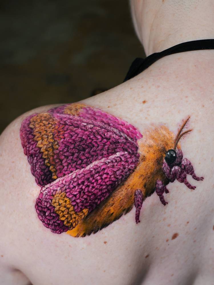 Embroidery style moth tattoo located on the shoulder blade.