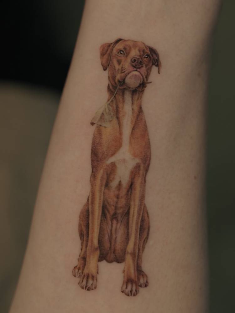 Vizsla tattoo in micro-realistic style located on the wrist.