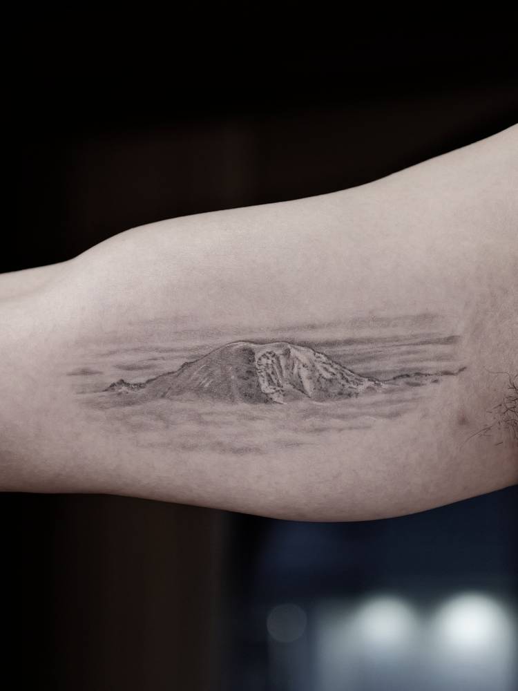 Mountain range tattoo located on the inner arm.