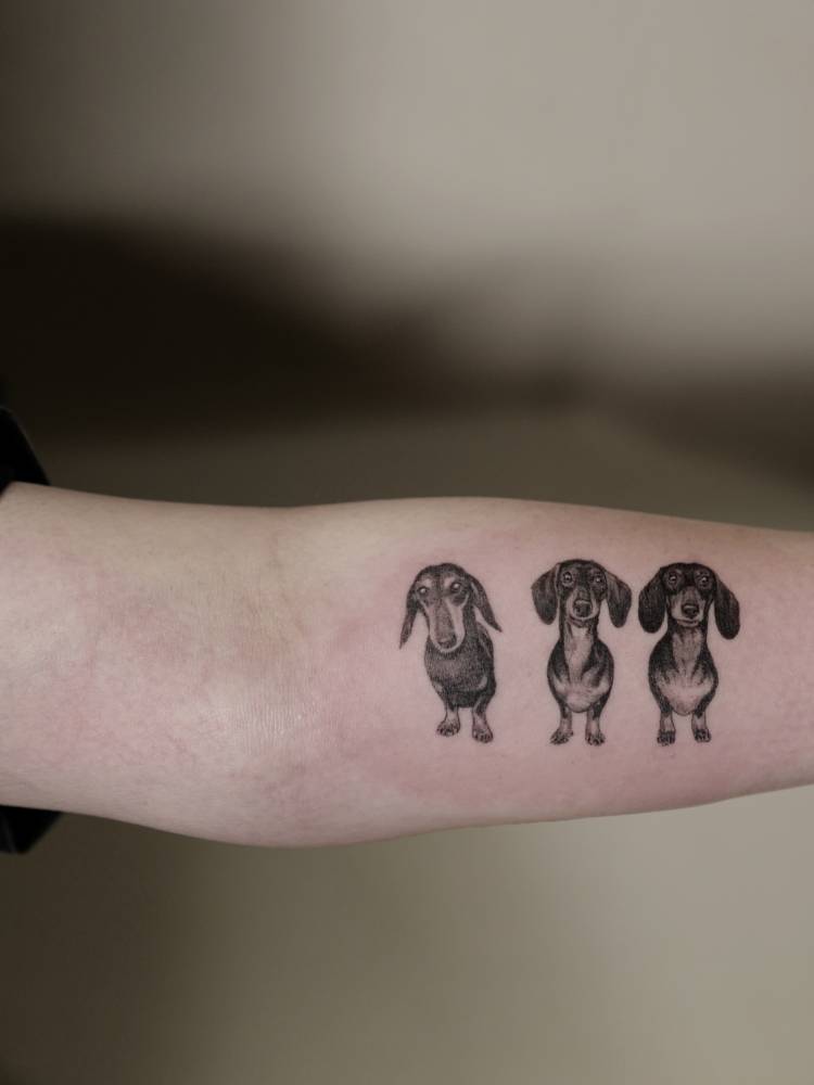 Three Dachshunds tattooed on the inner forearm, micro-realistic style.