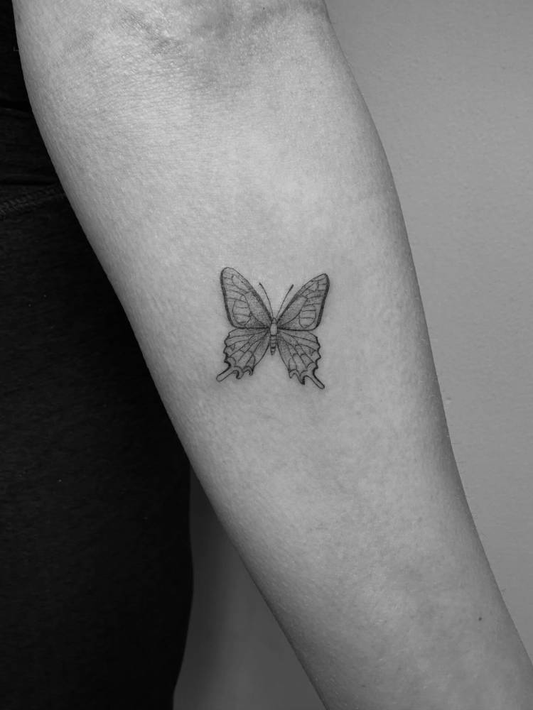 Illustrative style butterfly tattoo done on the inner forearm.