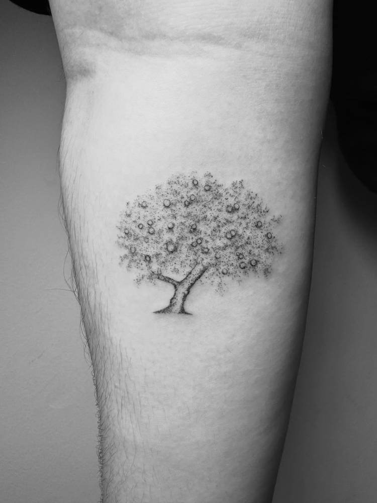 Apple tree in illustrative style tattooed on the inner forearm.