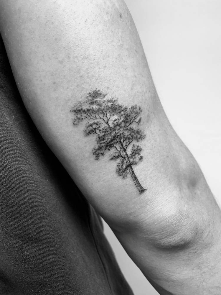 Oak tree tattoo in illustrative style located on the tricep.
