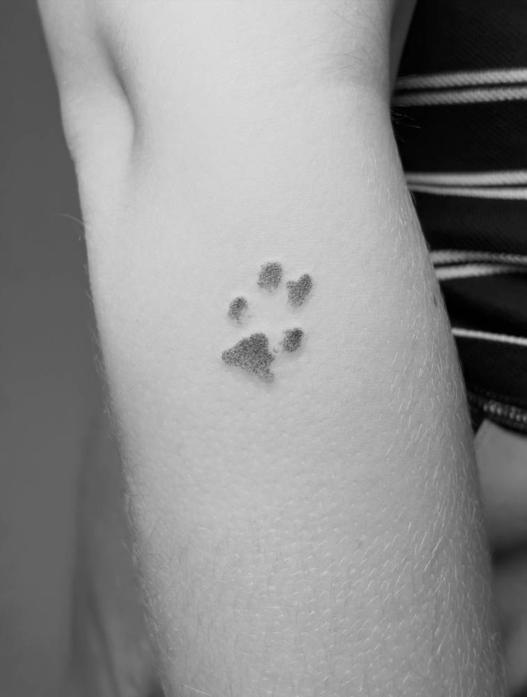 Dotwork style dog paw print tattoo located on the forearm.