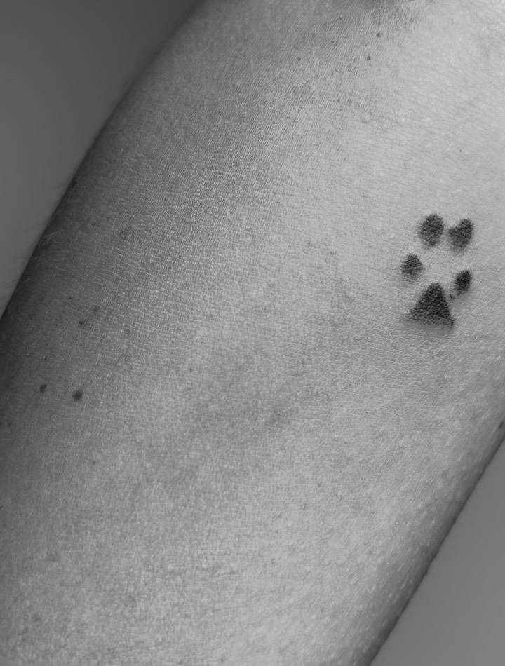 Tiny paw print tattoo located on the inner forearm.