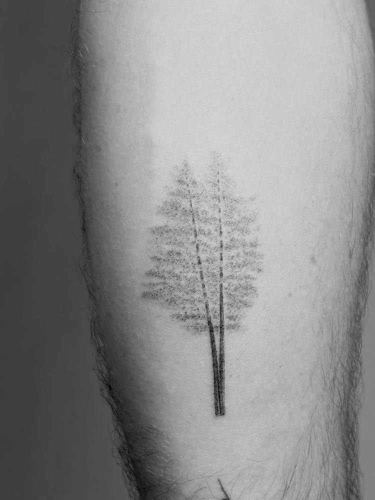 A split tree from his childhood.