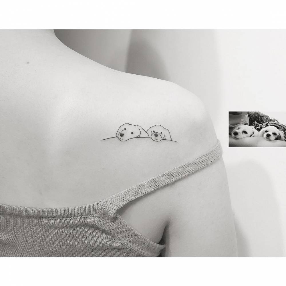 Minimalistic style Shi Tzu portraits tattooed on the shoulder blade.