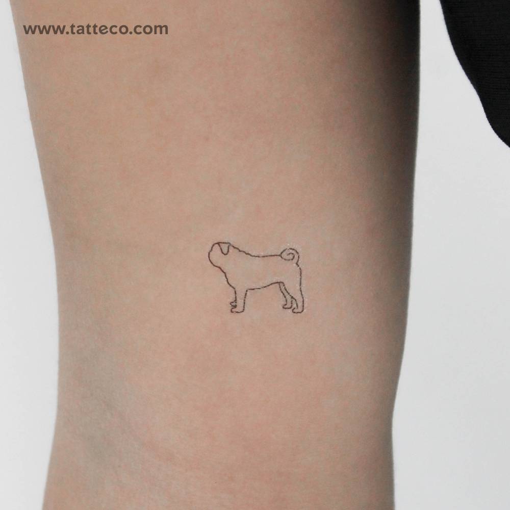 Fine line style Pug temporary tattoo located on the inner arm.
