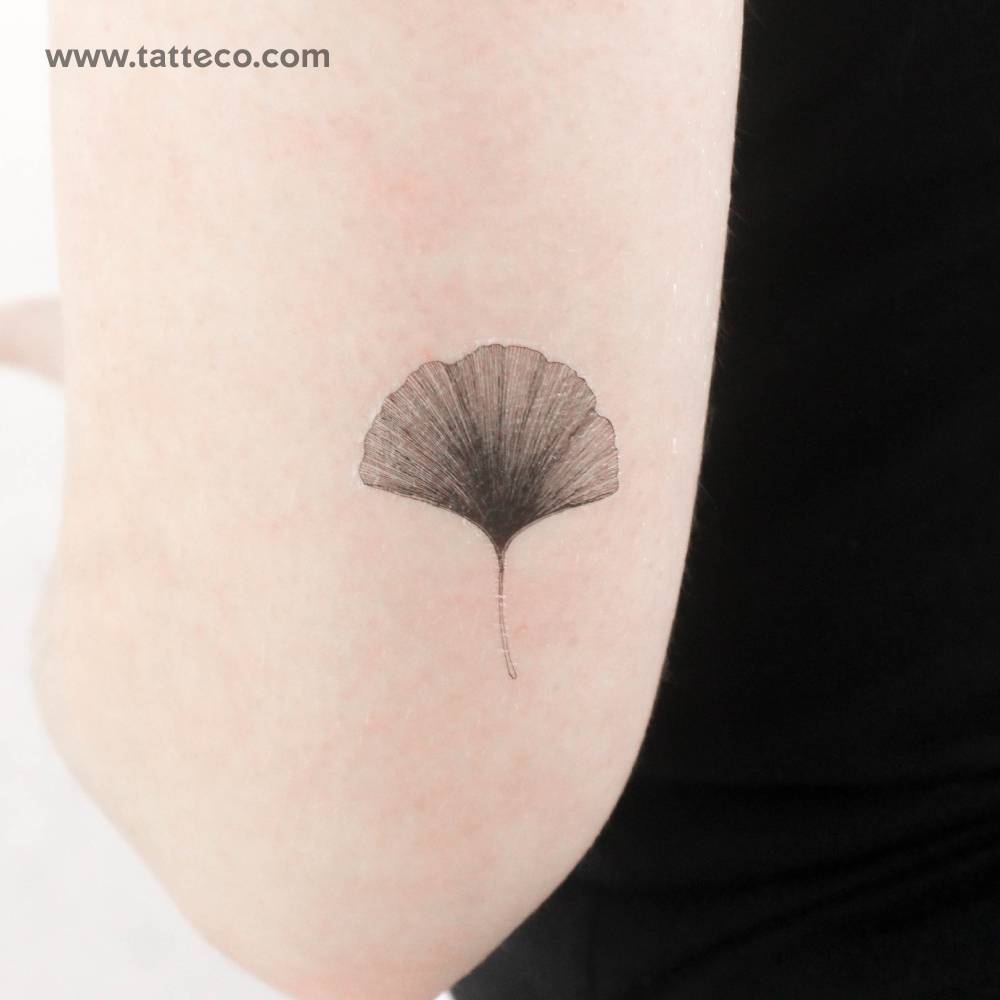 Ginkgo leaf temporary tattoo located on the tricep.