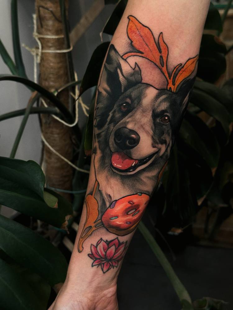 Border Collie portrait tattoo in Neotraditional style.