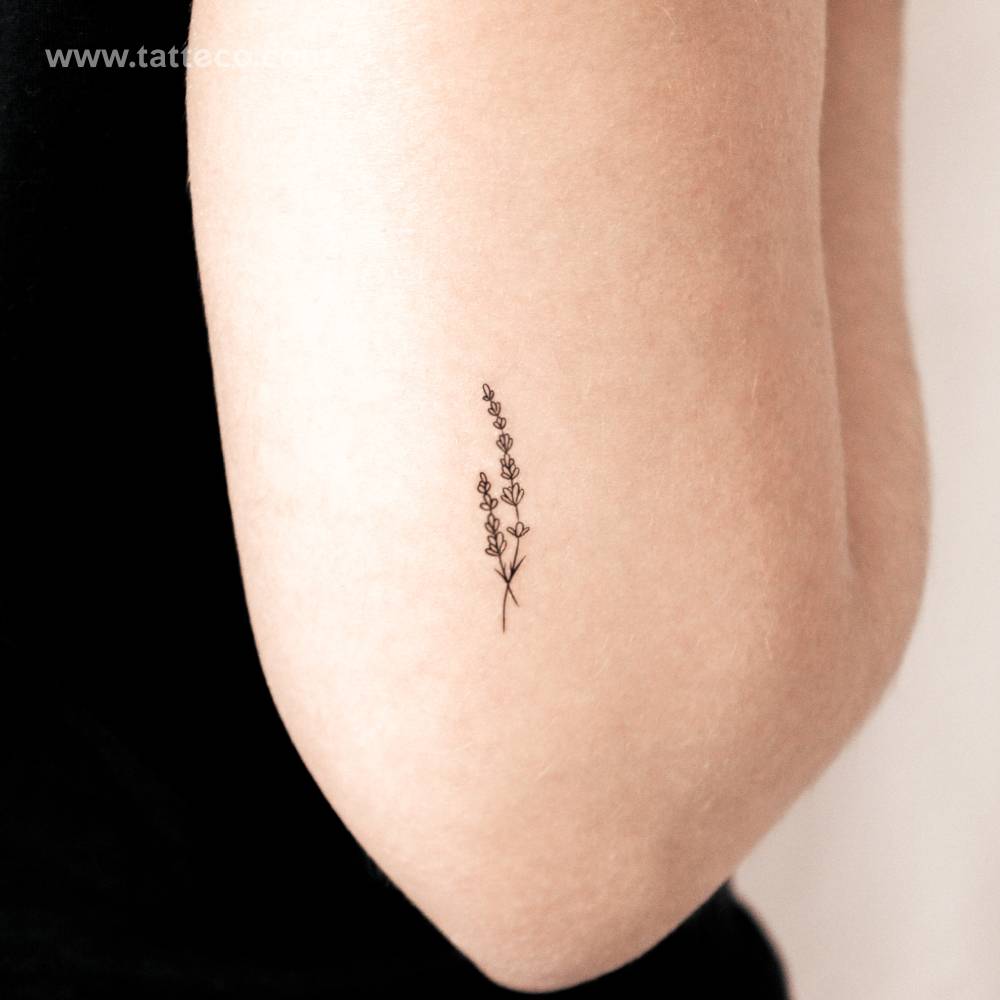 Semi-Permanent fine line lavender tattoo located on the tricep.