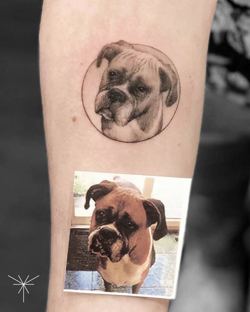 Micro-realistic style Boxer portrait tattoo located on the inner forearm.