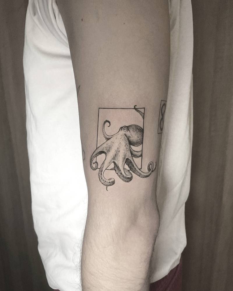 Octopus tattoo in illustrative style done on the upper arm.