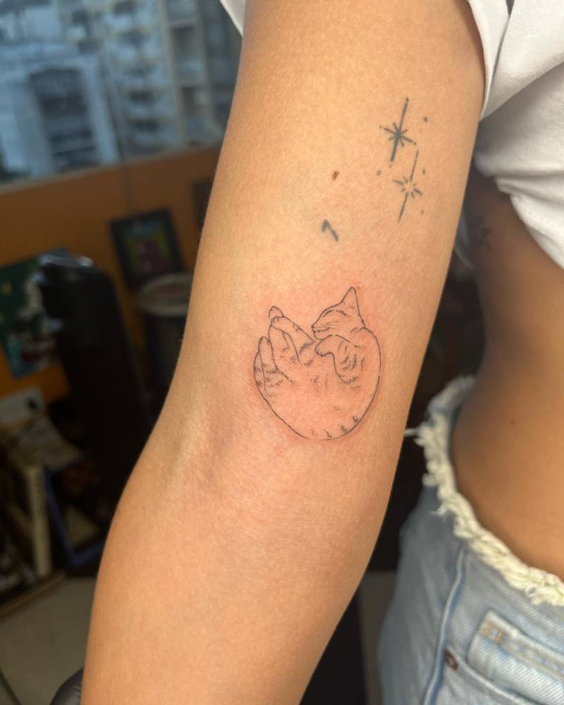 Fine line style cat tattoo located on the inner arm.
