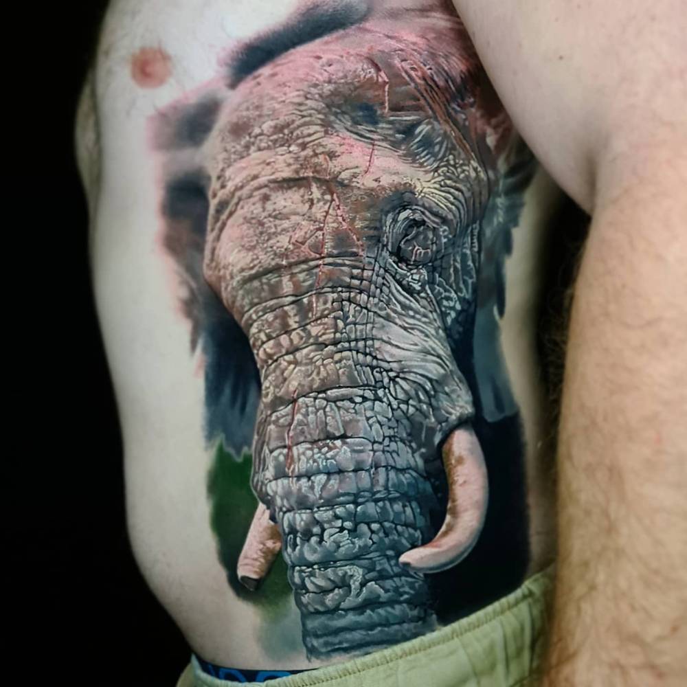 Elephant portrait tattoo in realistic style located on the rib and waist.