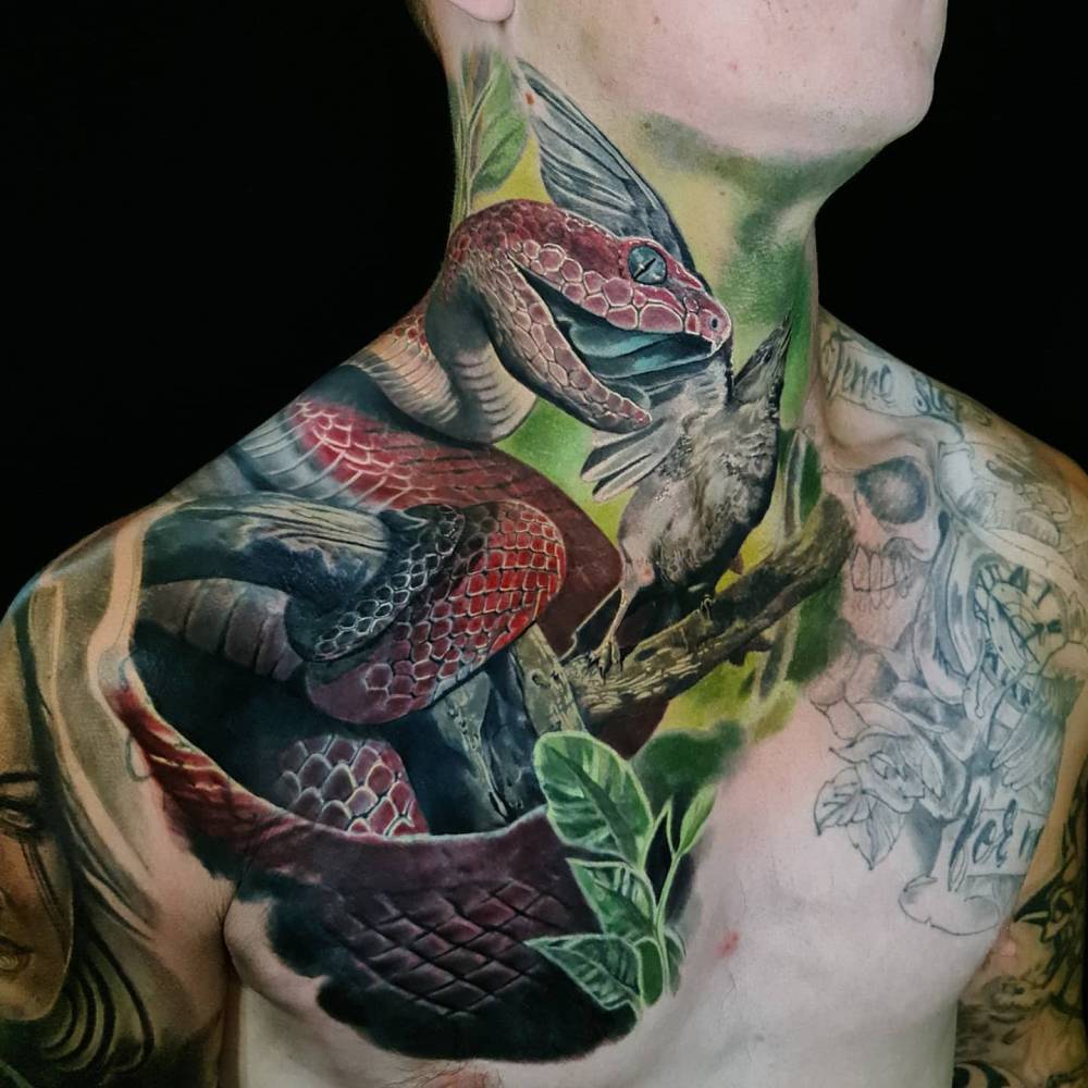 Snake neck tatz, 90% healed.