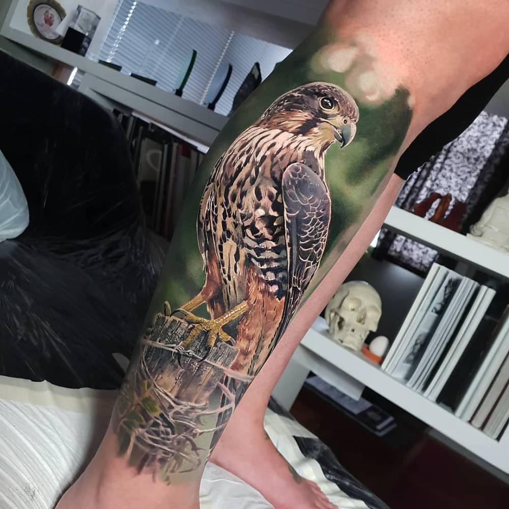 Falcon tattoo in realistic style located on the shin.