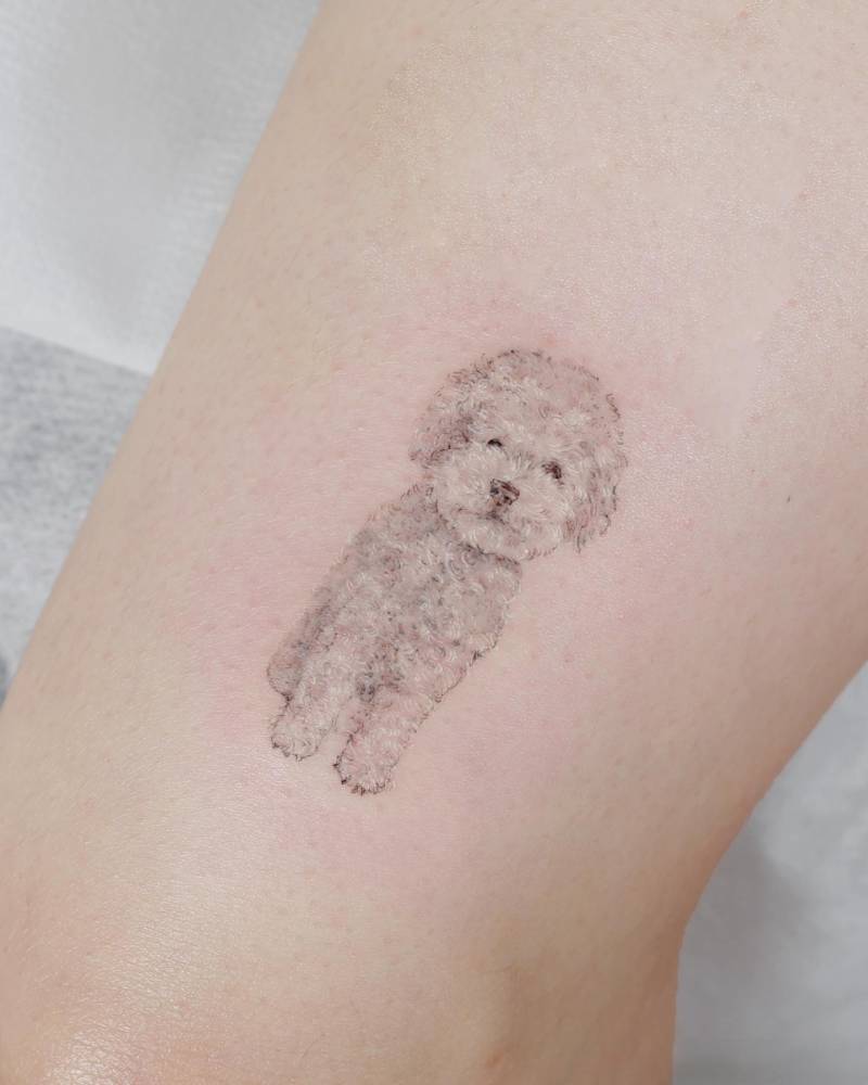 Micro-realistic style Poodle tattoo located on the tricep.