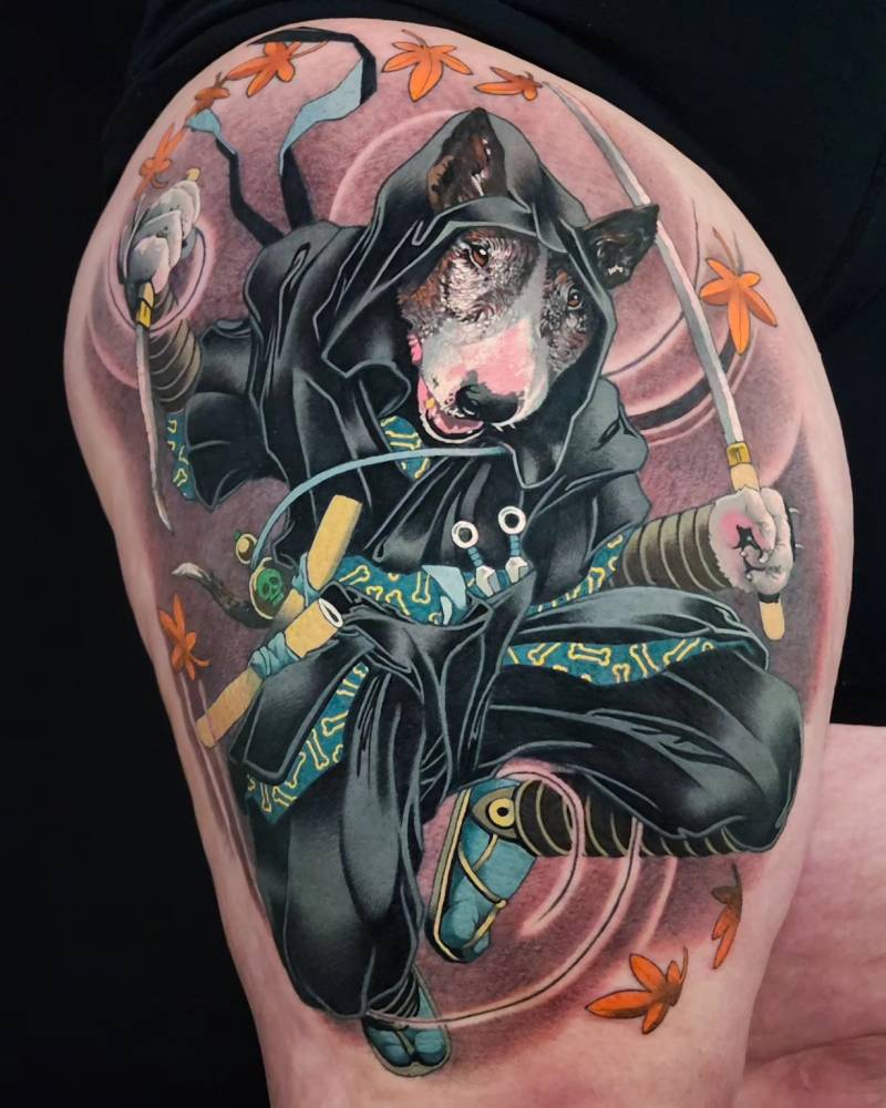 Pets portraits are cool, but ninja and samurai pet portraits are cooler!