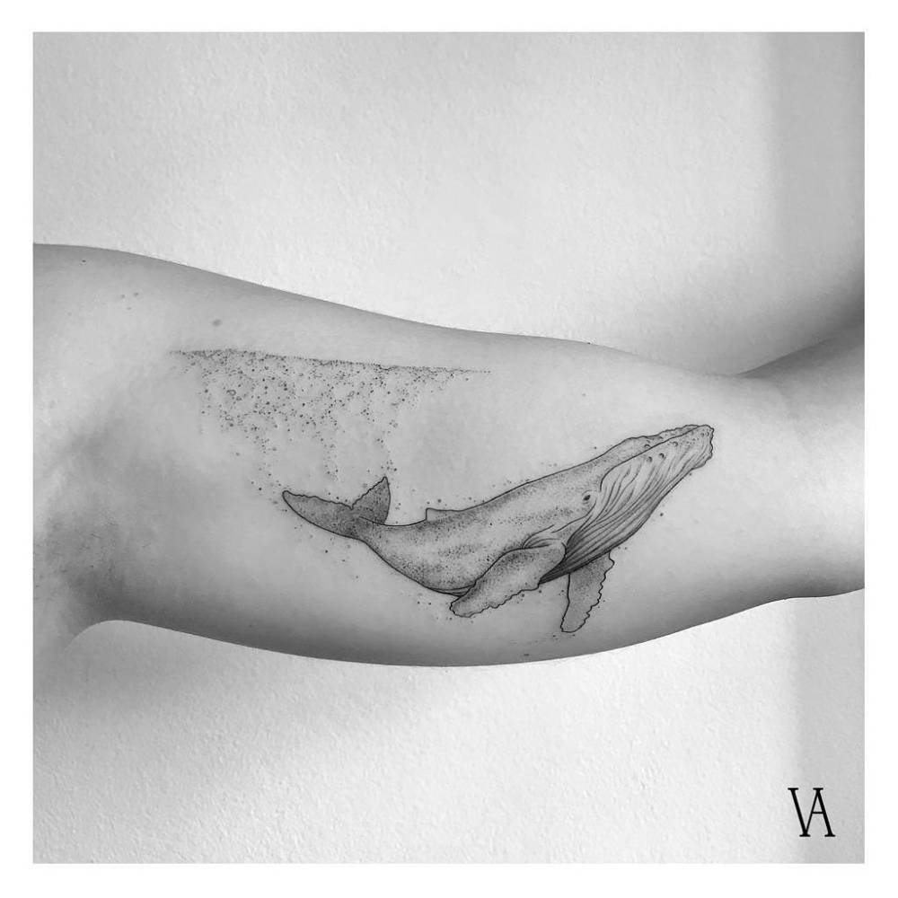 Whale tattoo in illustrative style located on the inner arm.