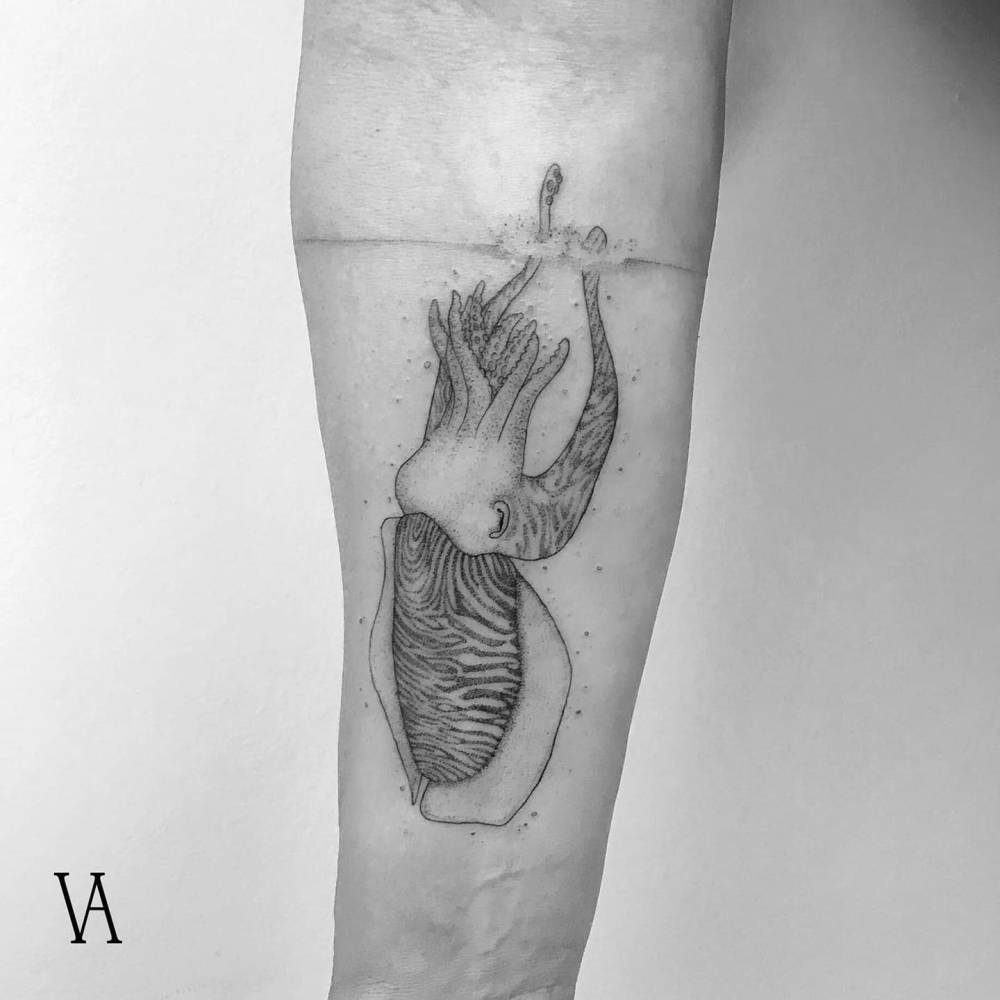 Cuttlefish tattoo placed on the inner forearm, illustrative style.
