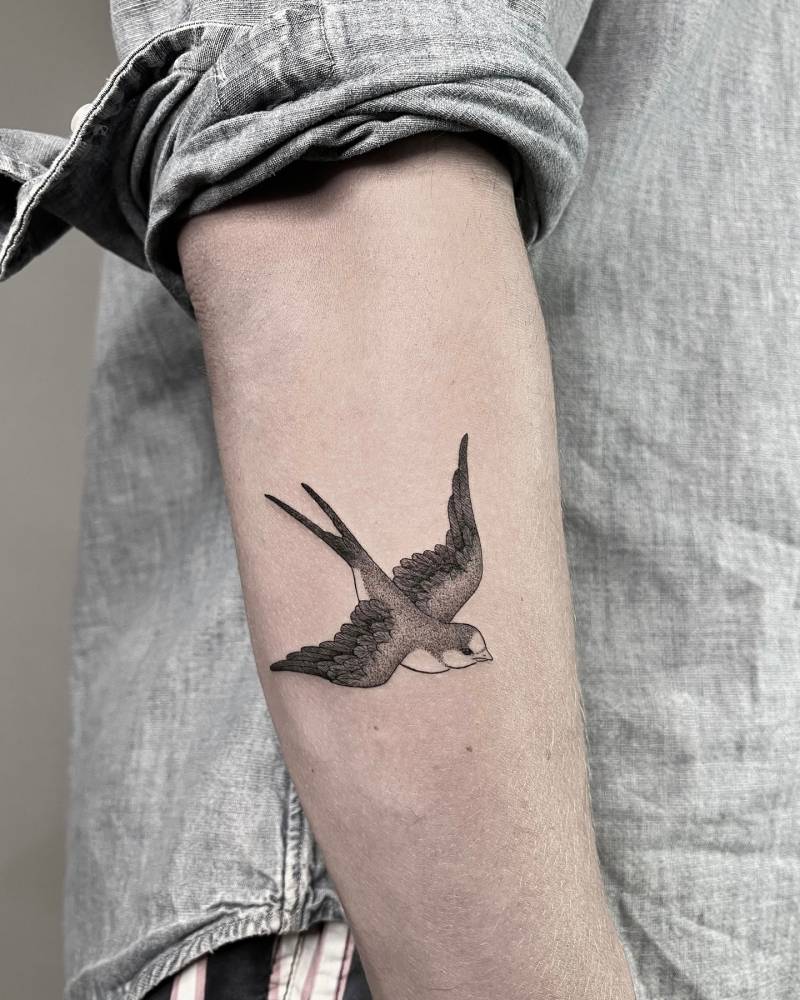 Illustrative style swallow tattoo placed on the forearm.
