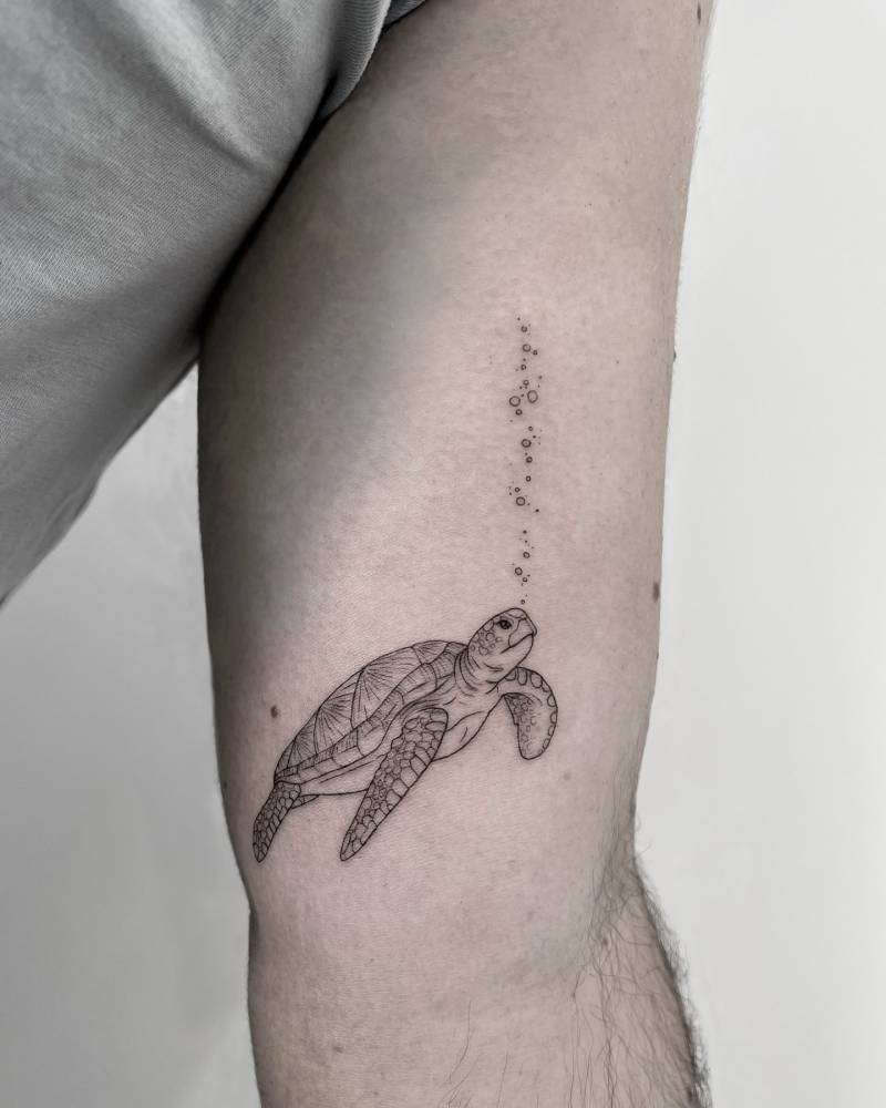 Little turtle tattoo placed on the inner arm, illustrative style.