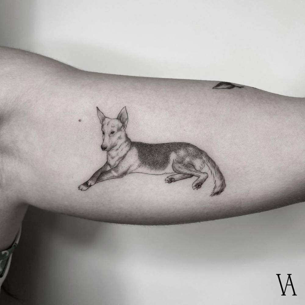 German Shepherd tattoo in illustrative style located on the inner arm.