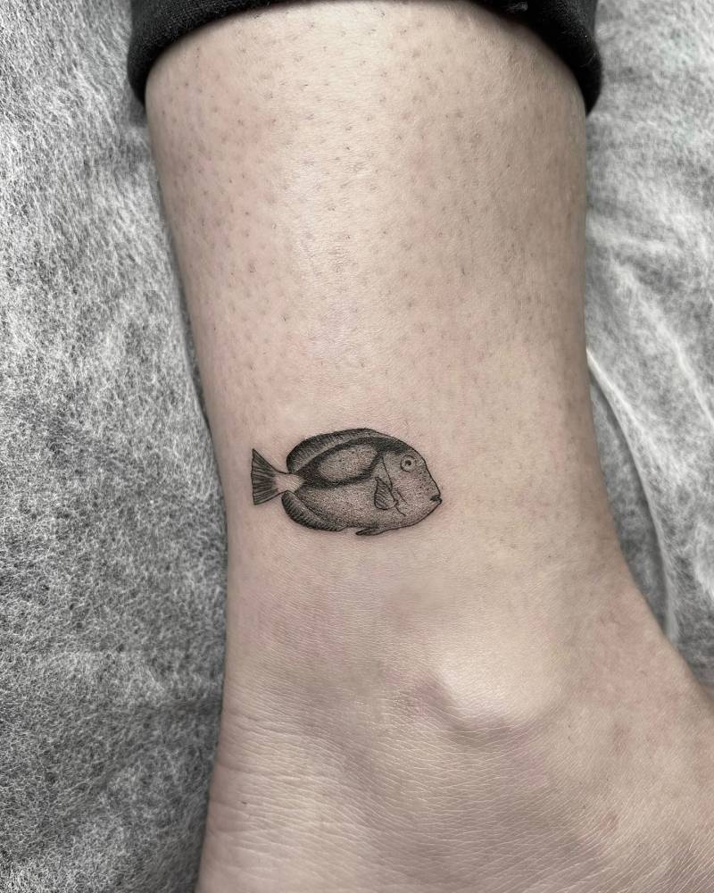 Tang fish tattoo in illustrative style done on the ankle.