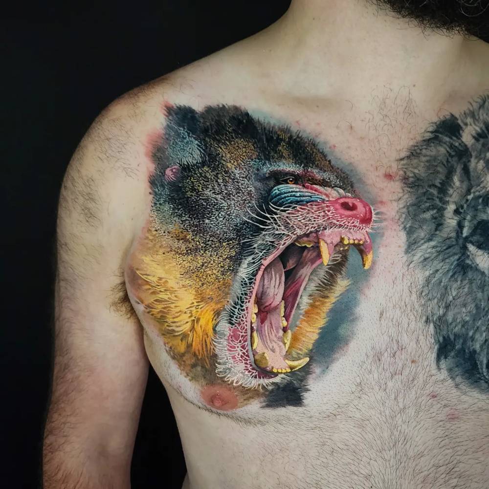 Mandrill portrait tattoo in realism located on the chest.