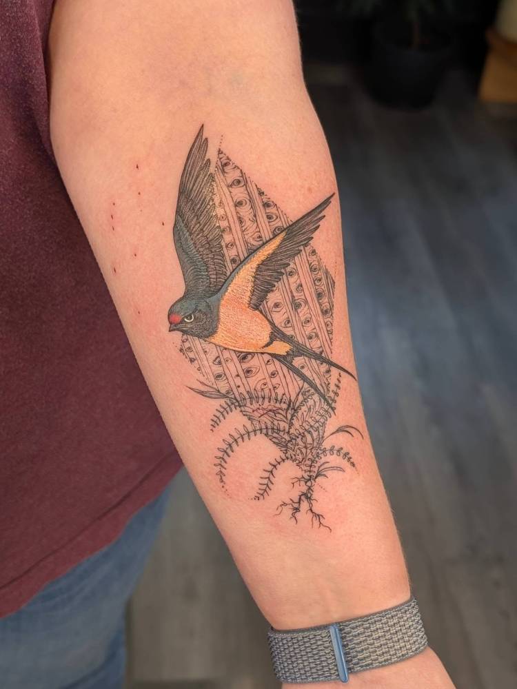 Illustrative style swallow tattoo located on the inner forearm.