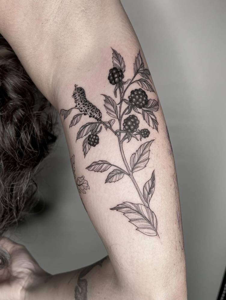 Blackberries tattoo in illustrative style located on the inner arm.