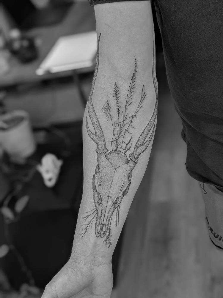Deer skull tattoo placed on the inner forearm, illustrative style.