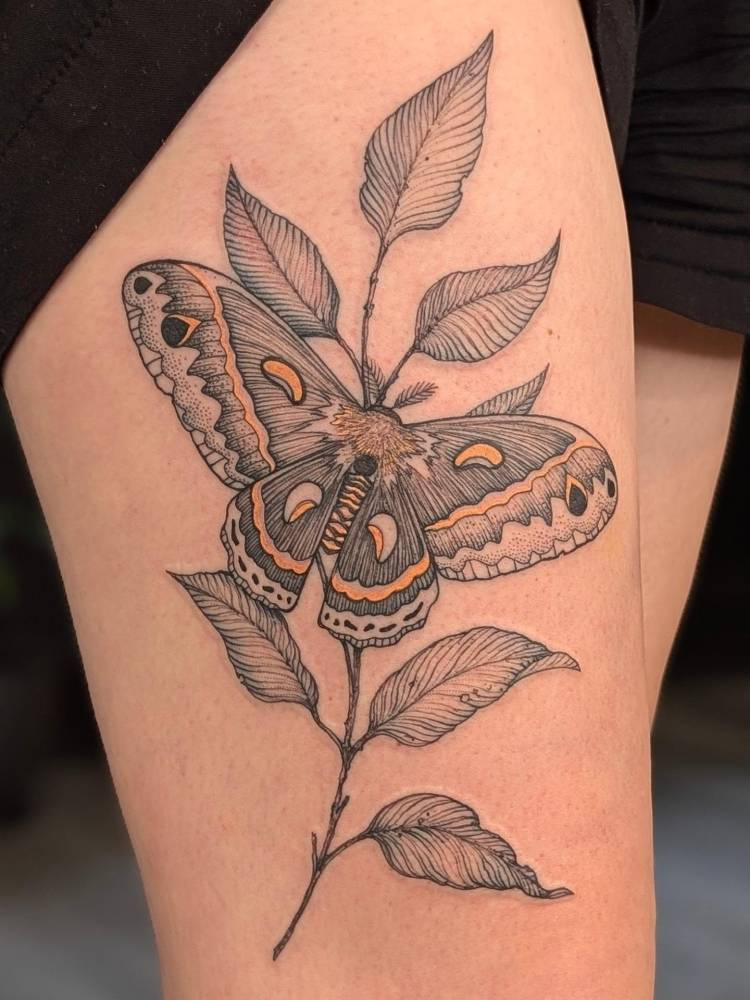 Illustrative style moth and leaves tattoo located on the thigh.