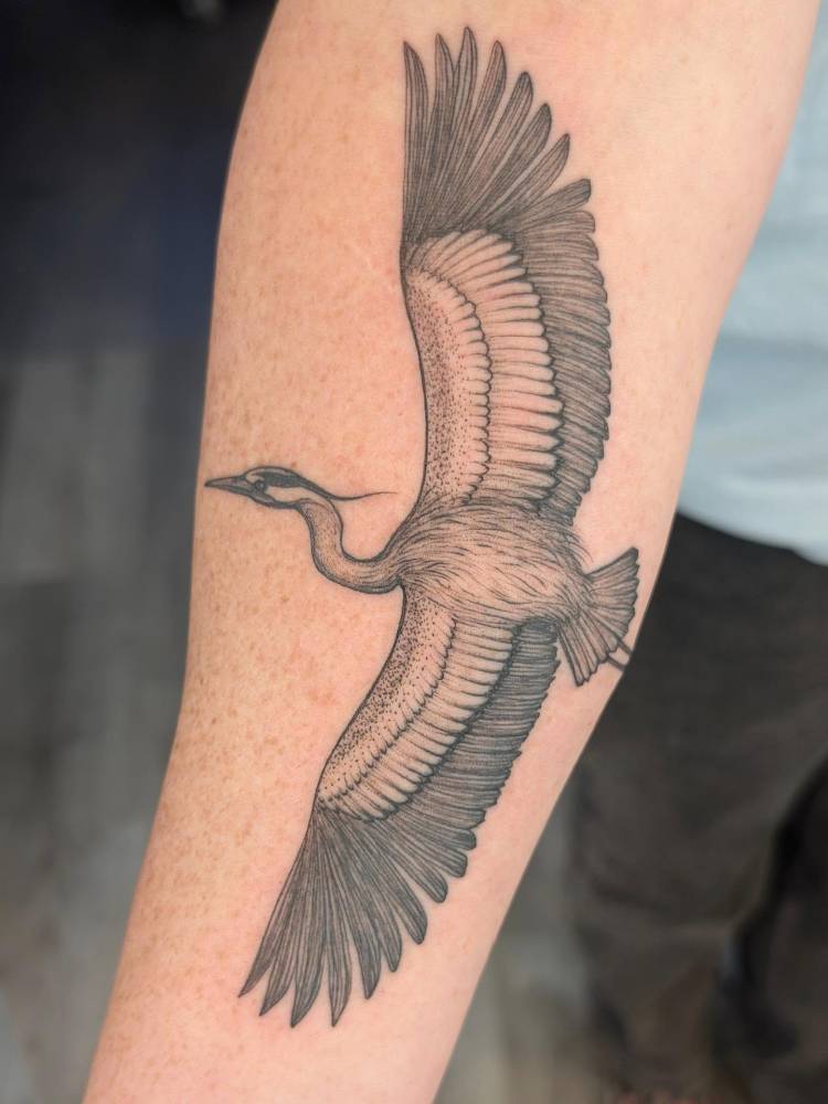 Heron tattoo in illustrative style located on the inner forearm.