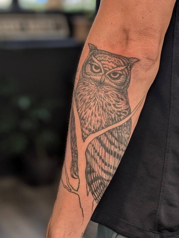 Owl tattoo in illustrative style done on the forearm.