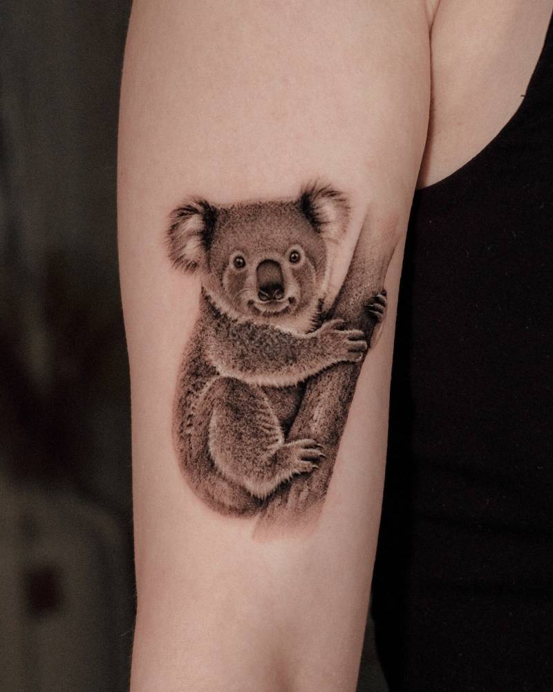 Northern koala in micro-realism tattooed on the upper arm.