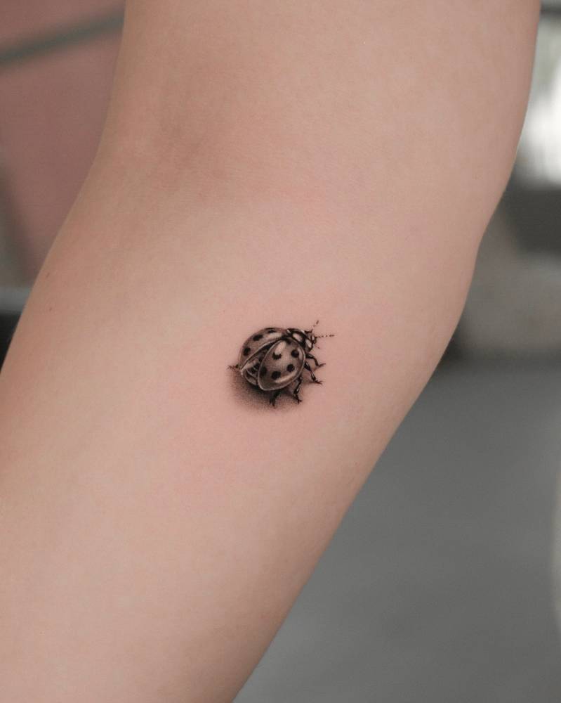 Ladybug tattoo located on the inner forearm, micro-realistic style.
